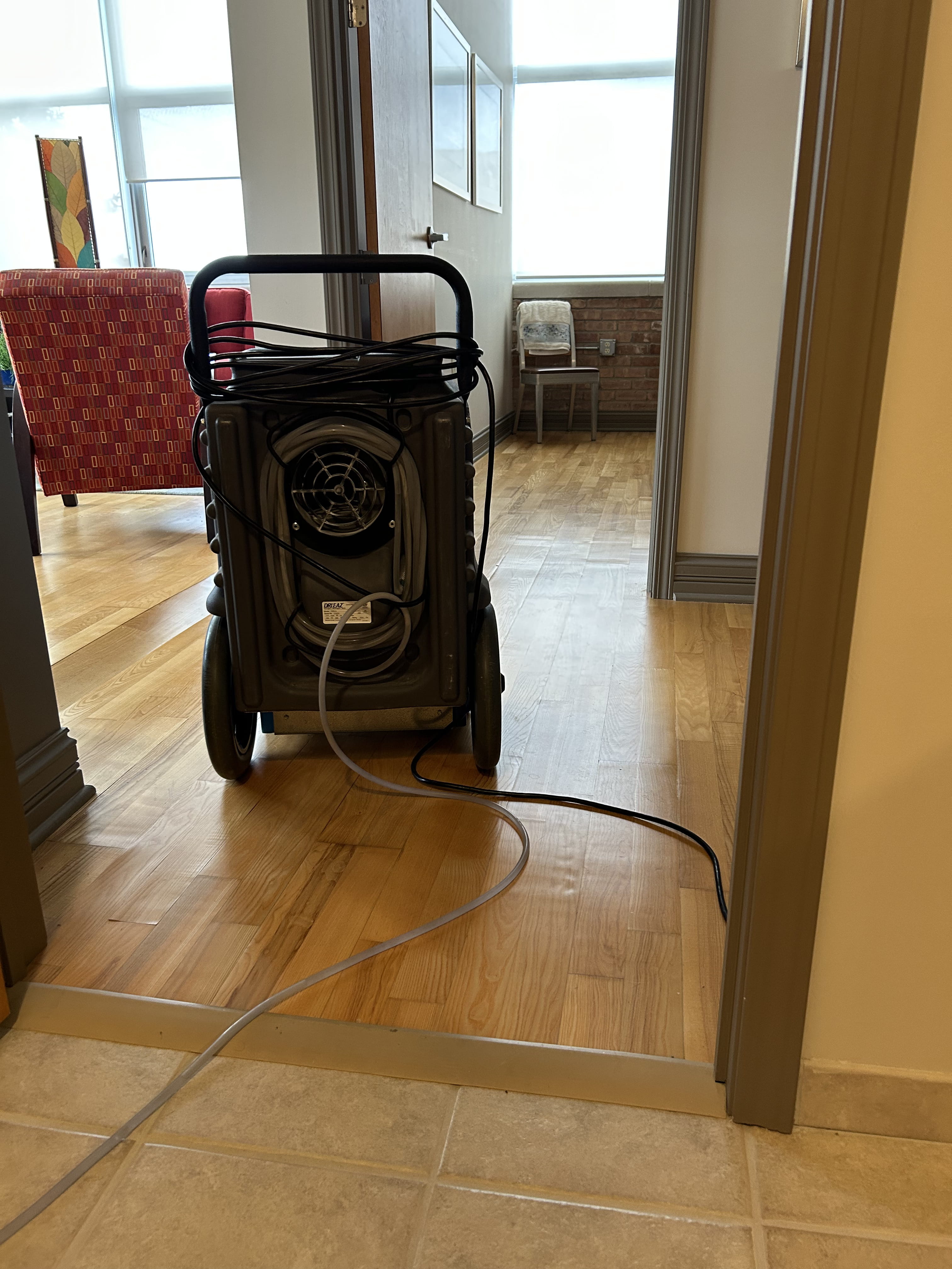 Professional restoration